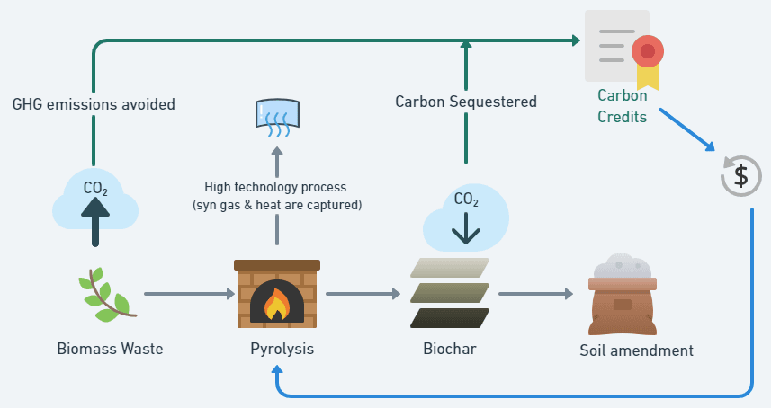 Biochar and Bio-oil: Dual Solutions in the Fight Against Climate Change